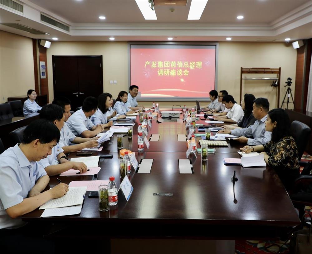 集團黨委副書記、總經(jīng)理黃蓓帶隊調研濟南市工程咨詢院