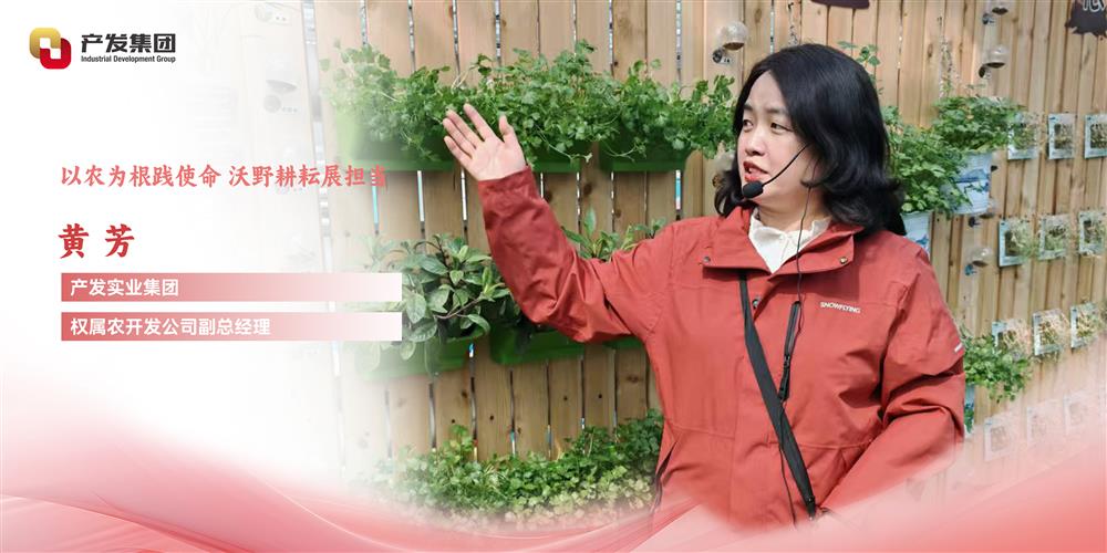 巾幗綻芳華 | 產(chǎn)發(fā)實(shí)業(yè)集團(tuán)權(quán)屬農(nóng)開發(fā)公司 黃芳：以農(nóng)為根踐使命，沃野耕耘展擔(dān)當(dāng)